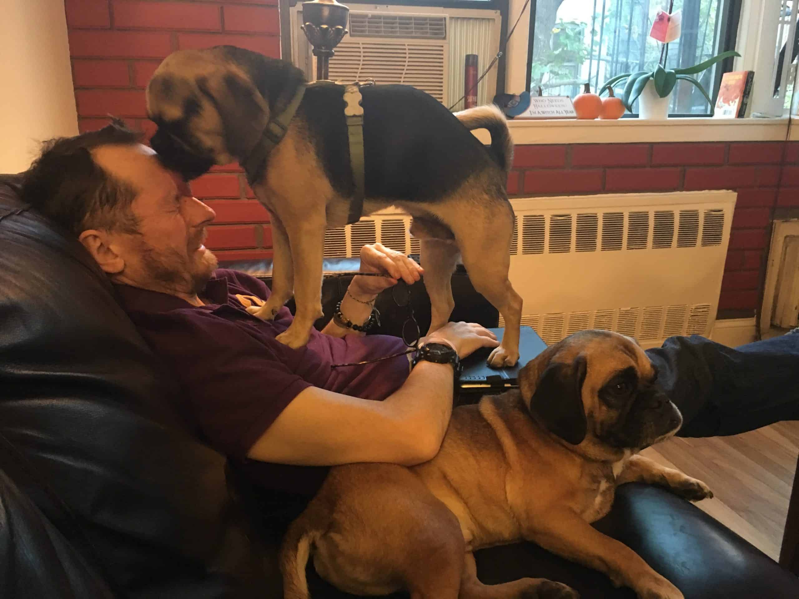 Jason Steadman sitting with two dogs
