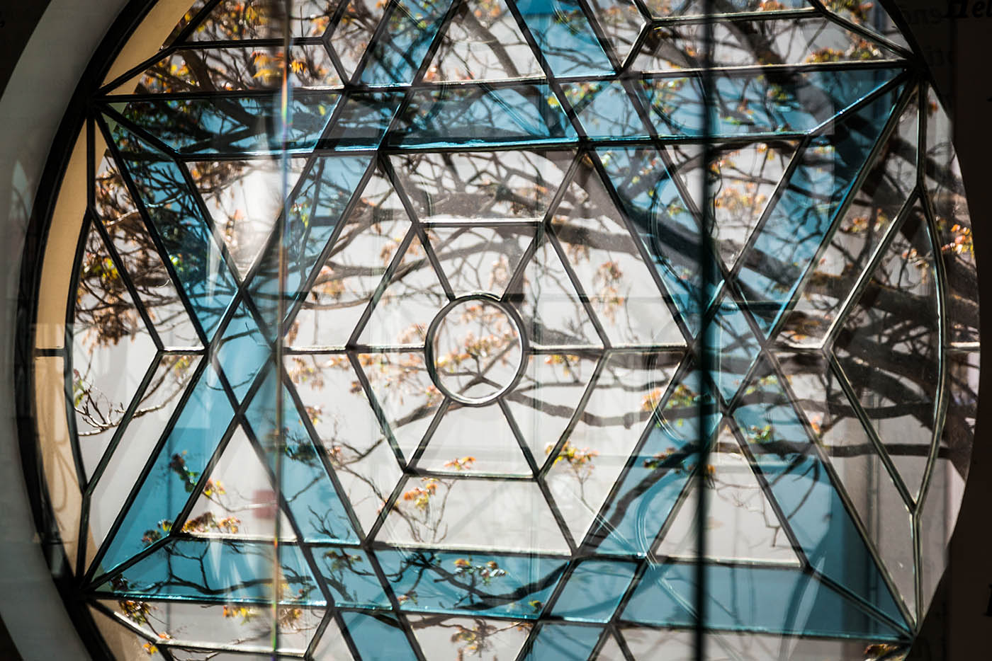 A circular stained-glass window featuring a blue Star of David with tree branches visible behind it.